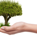 Drones écologiques : la révolution du nettoyage de toitures grâce aux nouvelles technologies